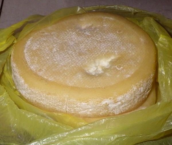 マダガスカルのチーズ